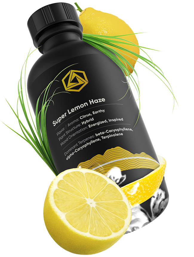Abstrax Premium Series Super Lemon Haze terpenes 5g bottle — Pro Pack Supply, San Bernardino CA