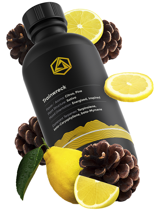 Abstrax Premium Series Trainwreck terpenes 5g bottle — Pro Pack Supply, San Bernardino CA
