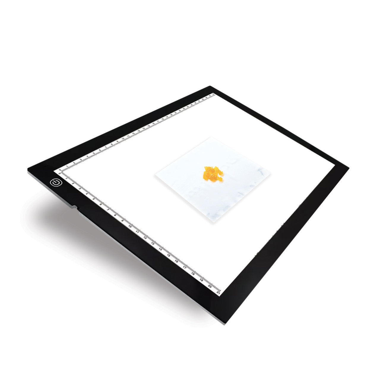 LED Light Tray